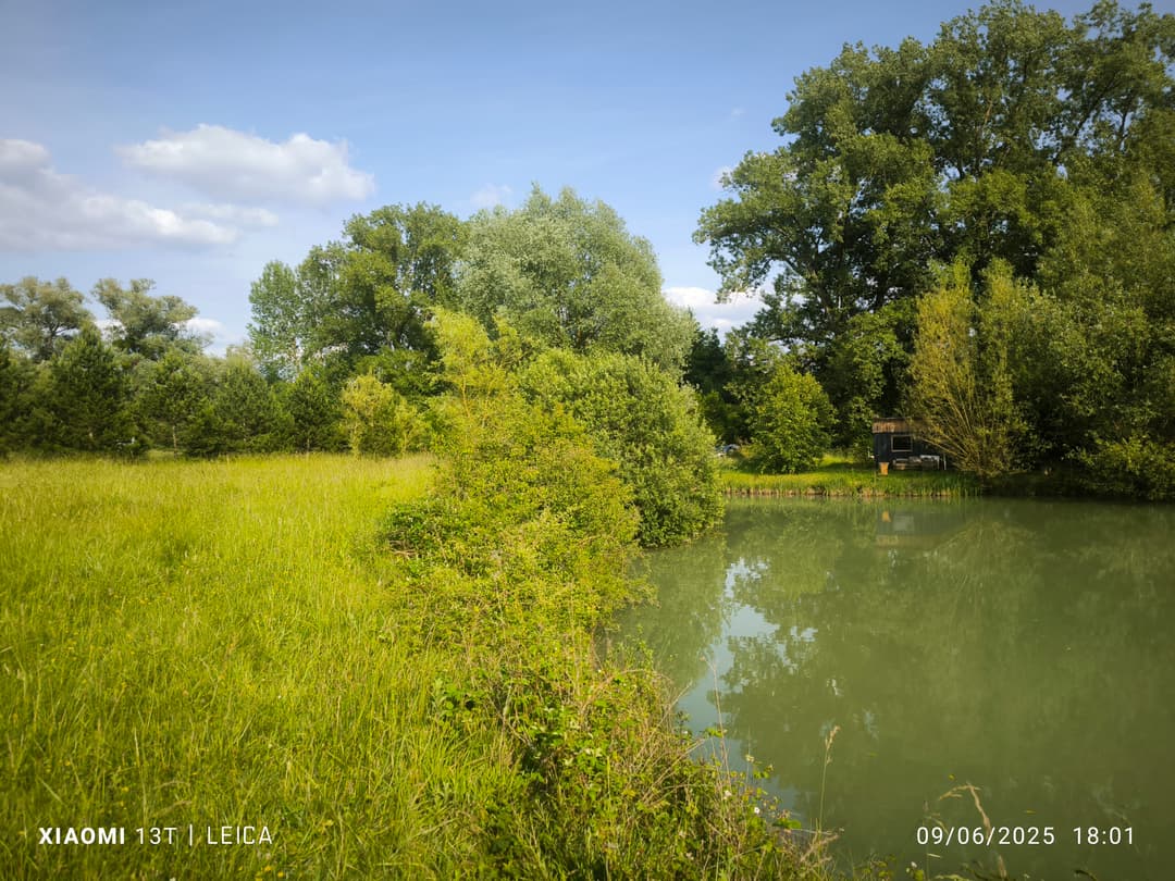 Terrain de loisirs avec etang