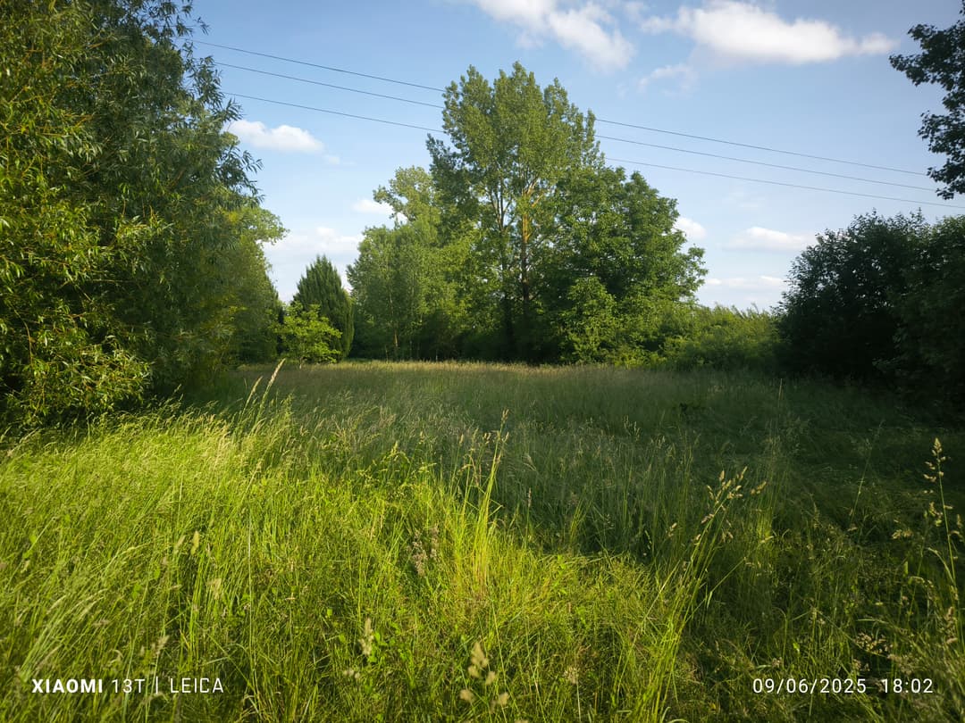 Terrain de loisirs avec etang