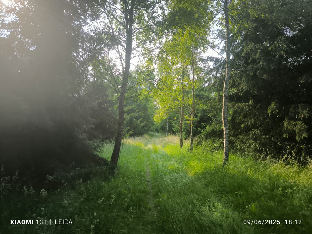 Terrain de loisirs avec etang