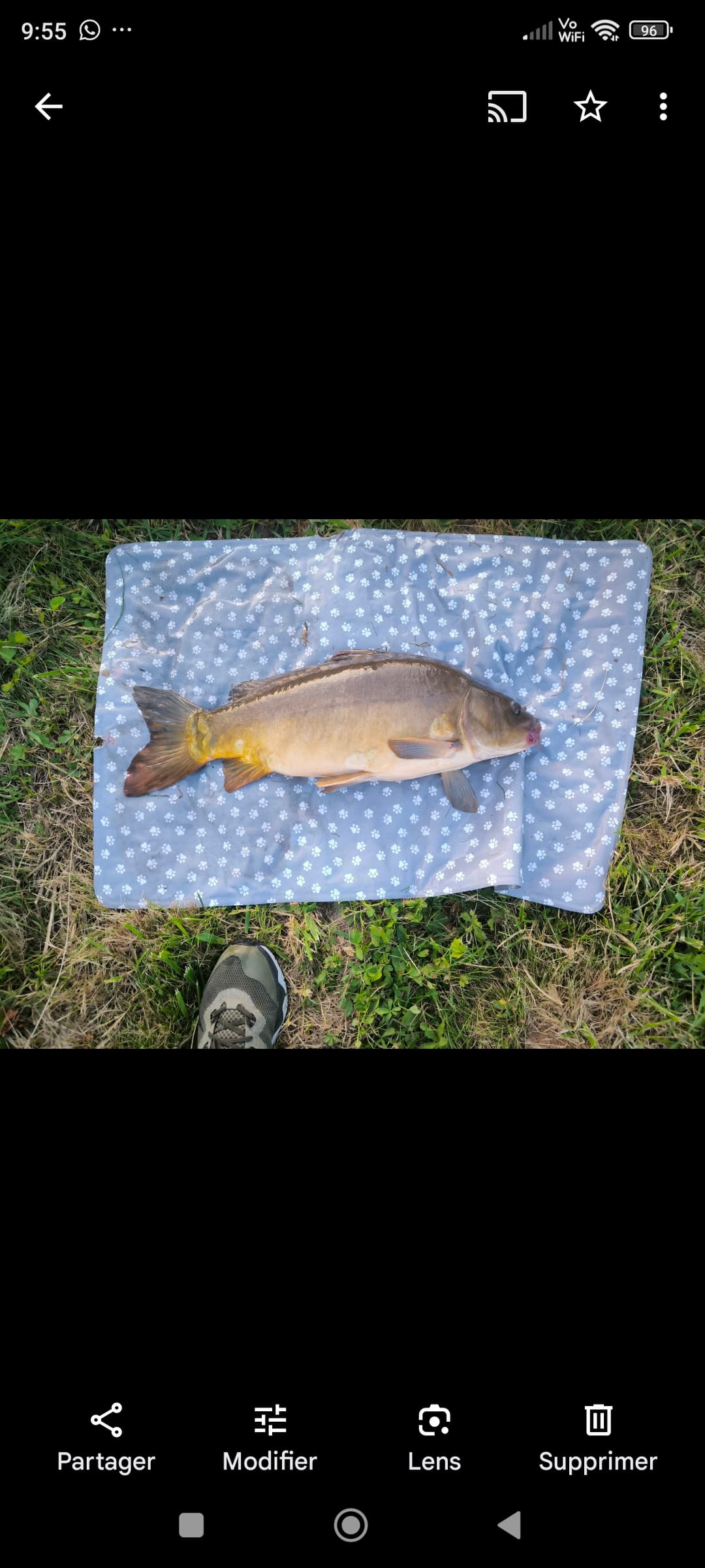 Terrain de loisirs avec etang