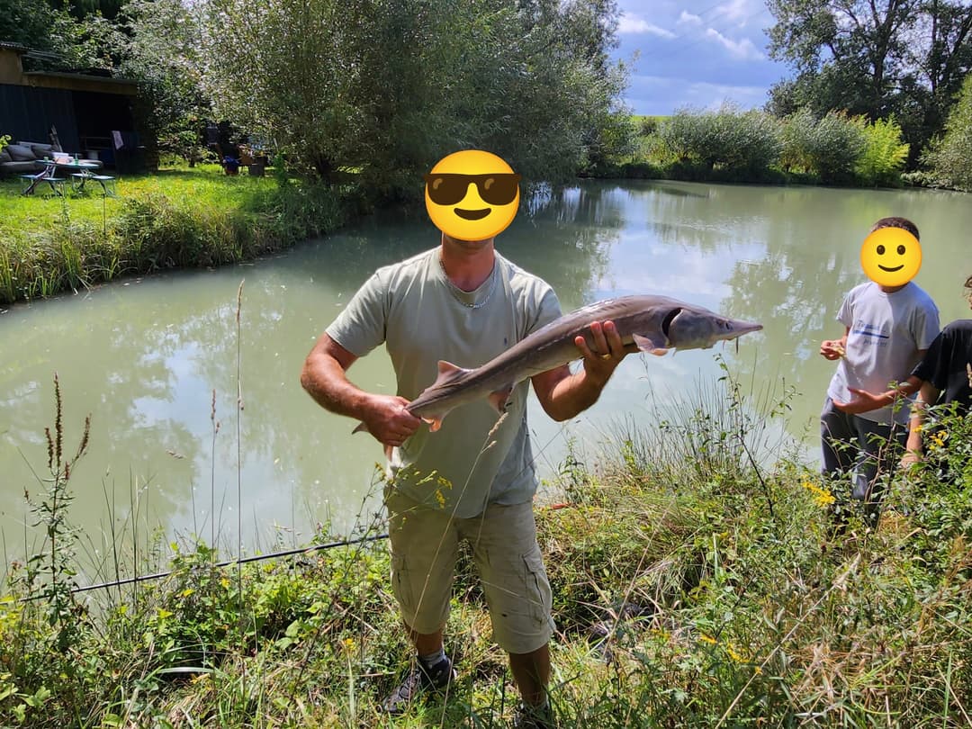 Terrain de loisirs avec etang