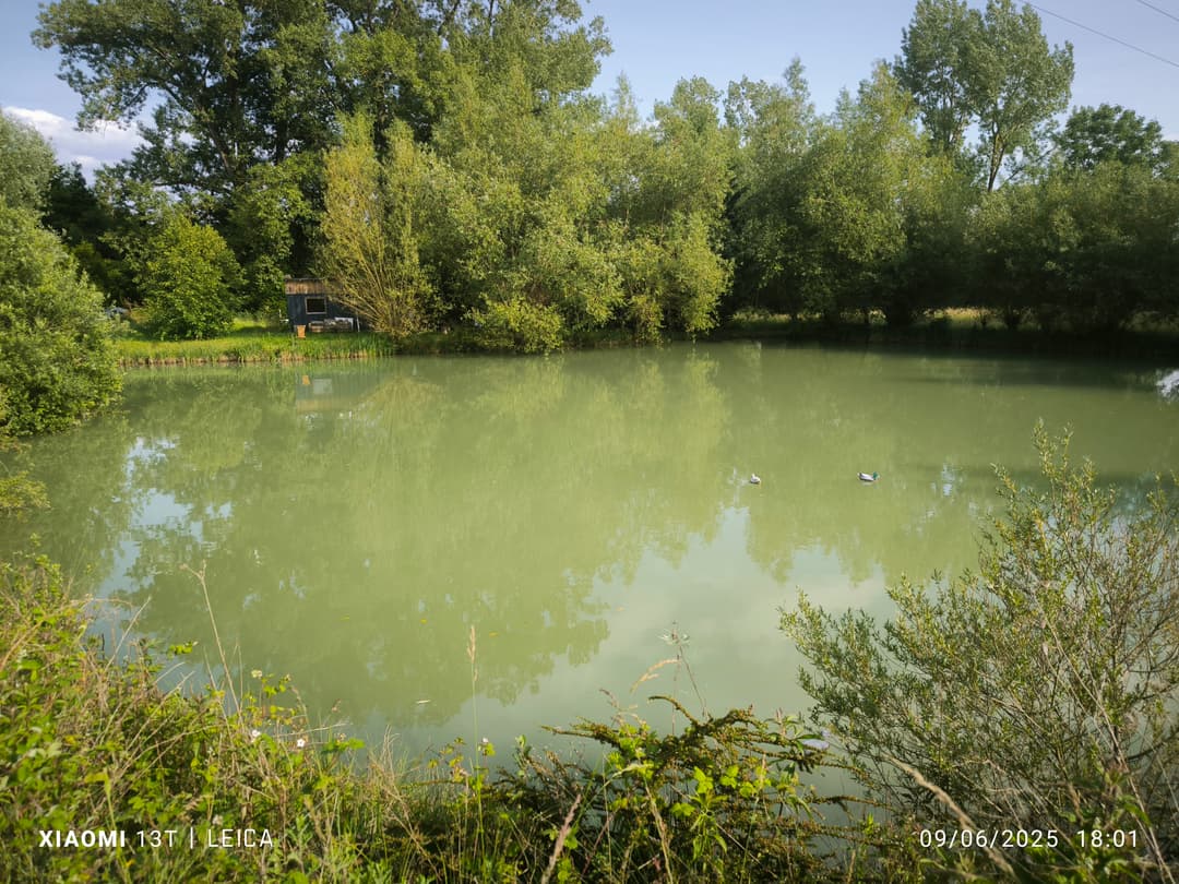 Terrain de loisirs avec etang