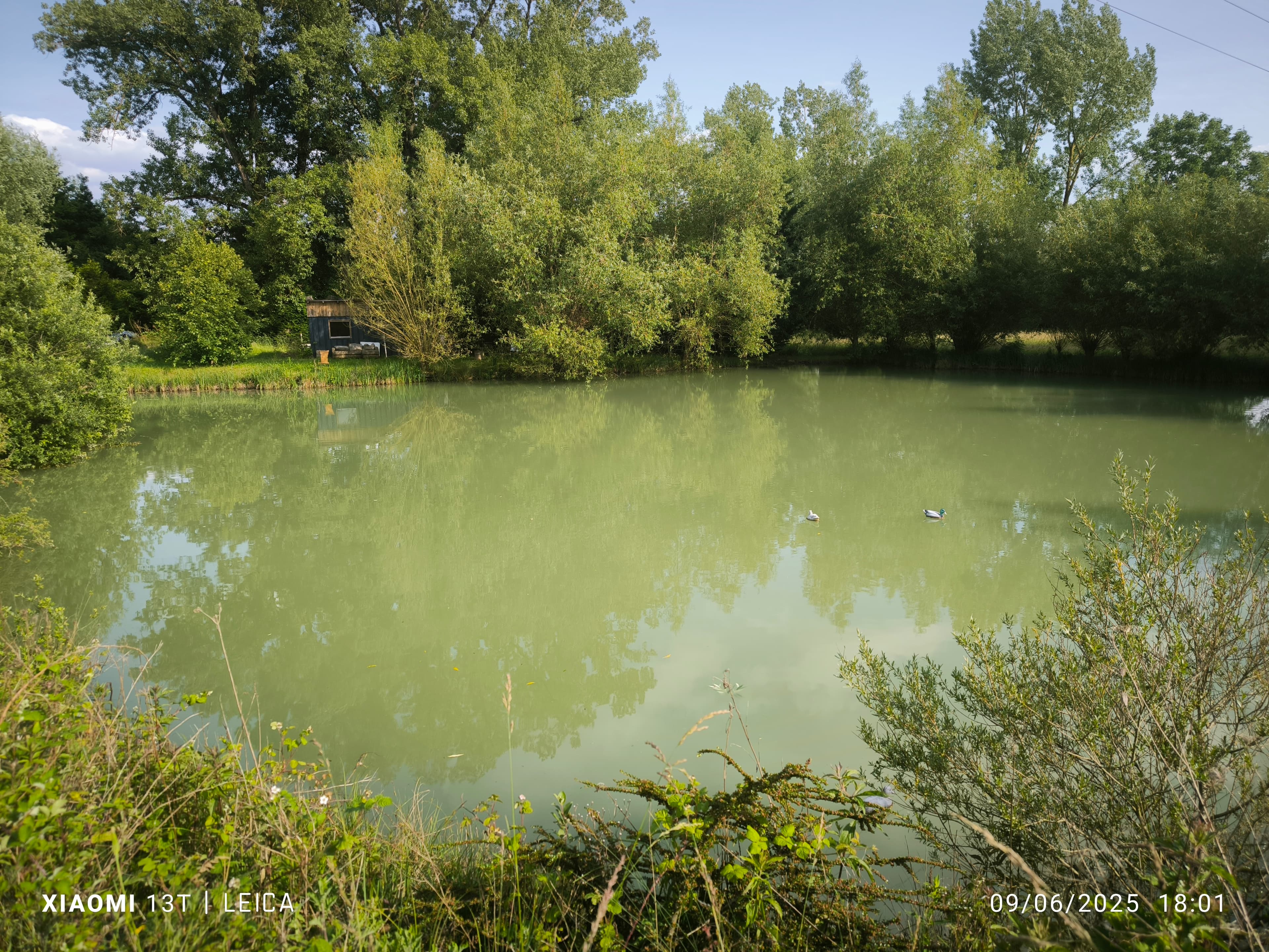 Terrain de loisirs avec etang