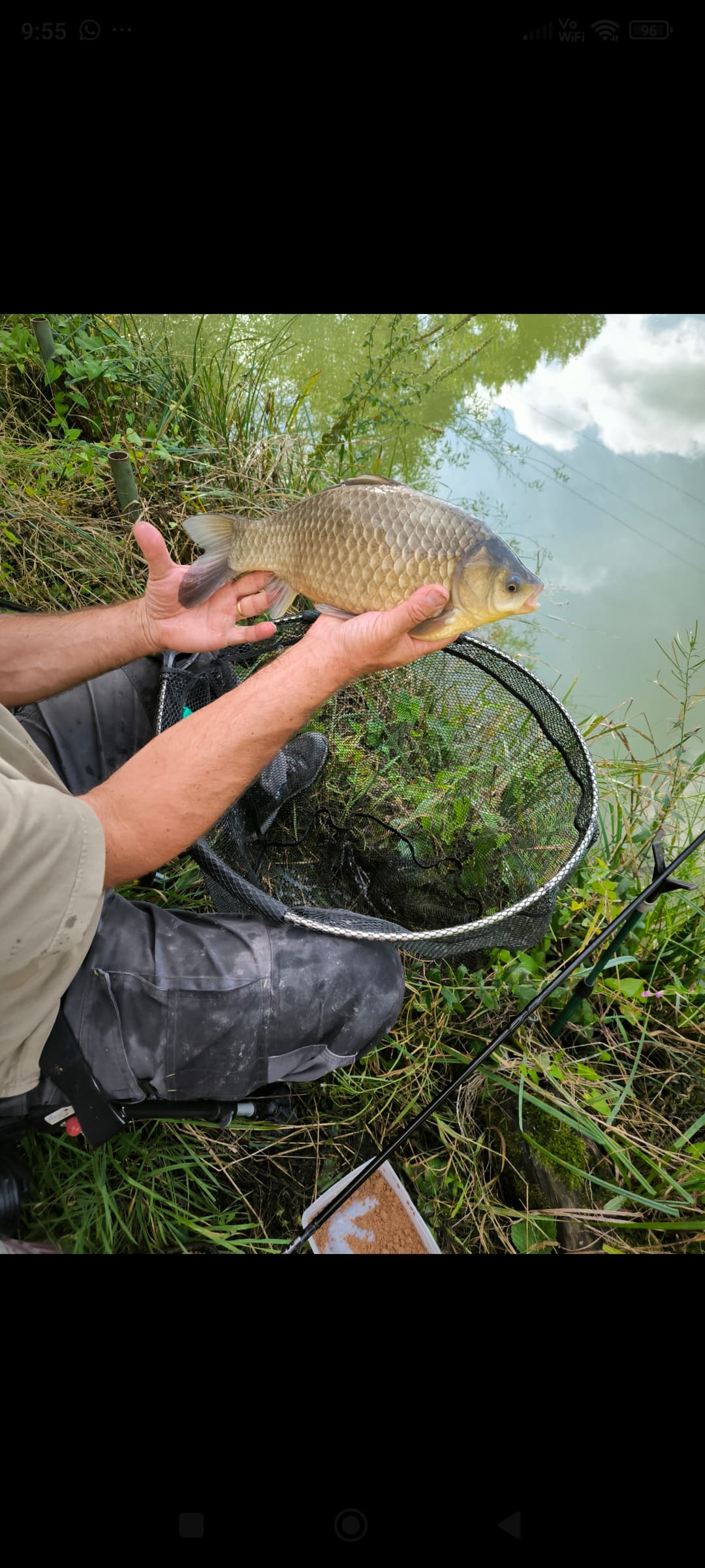 Terrain de loisirs avec etang