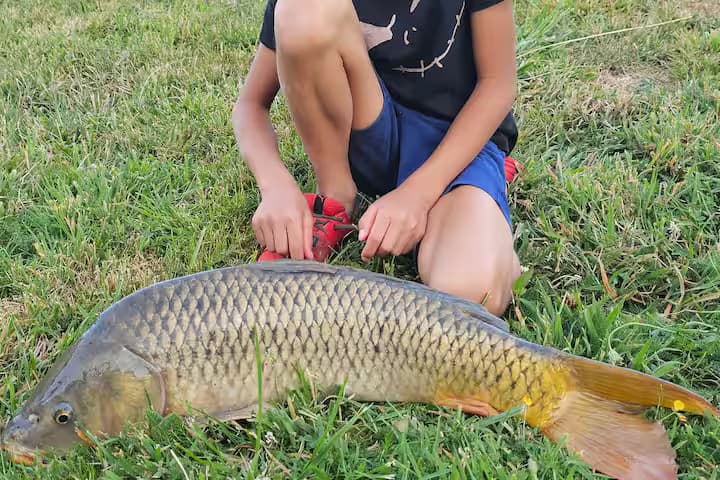 Gîte avec étang de pêche privé - étang des soays