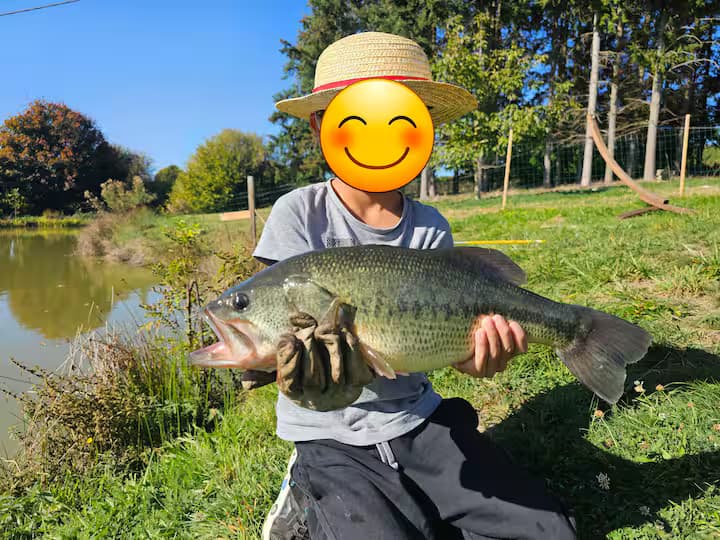 Gîte avec étang de pêche privé - étang des soays