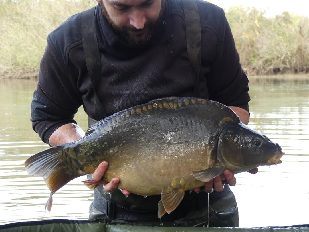 Etang d’1Ha en location totalement privatisé ! 