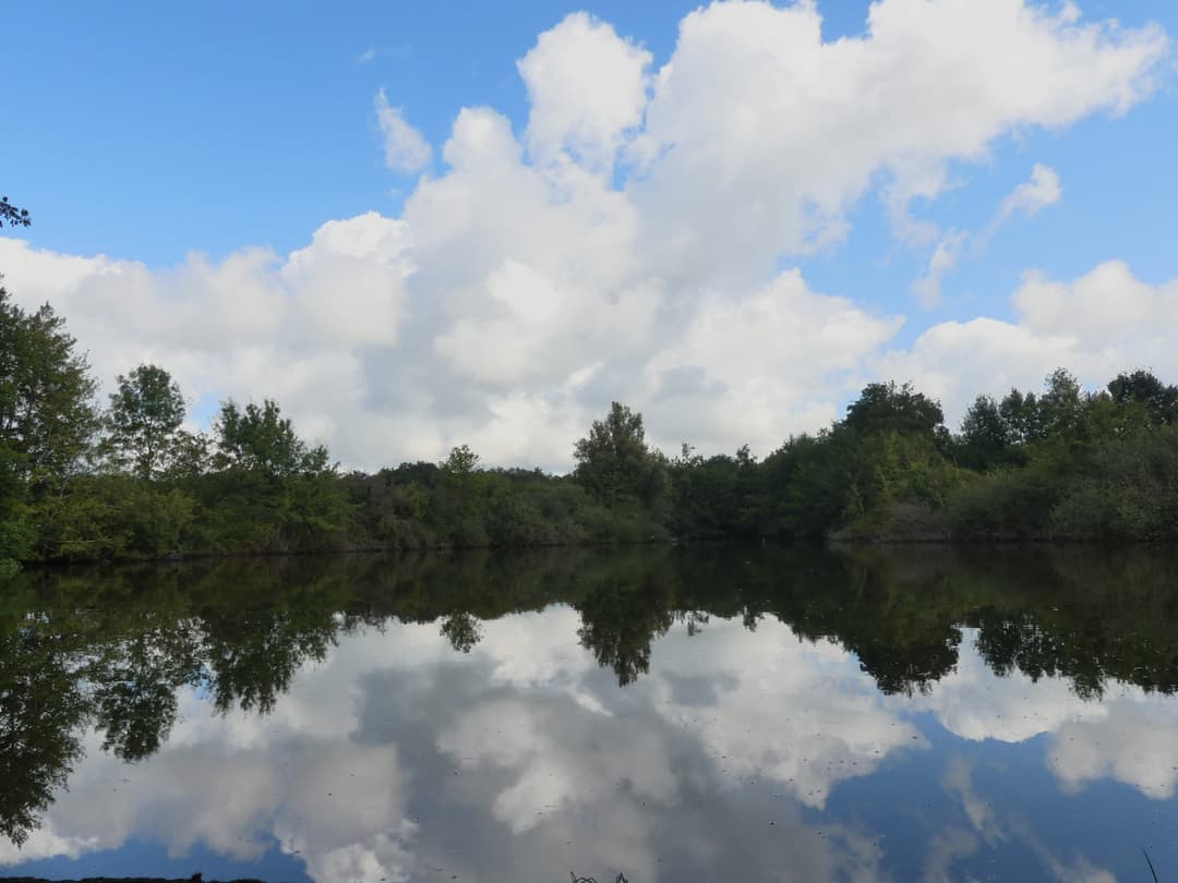 Etang d’1Ha en location totalement privatisé ! 