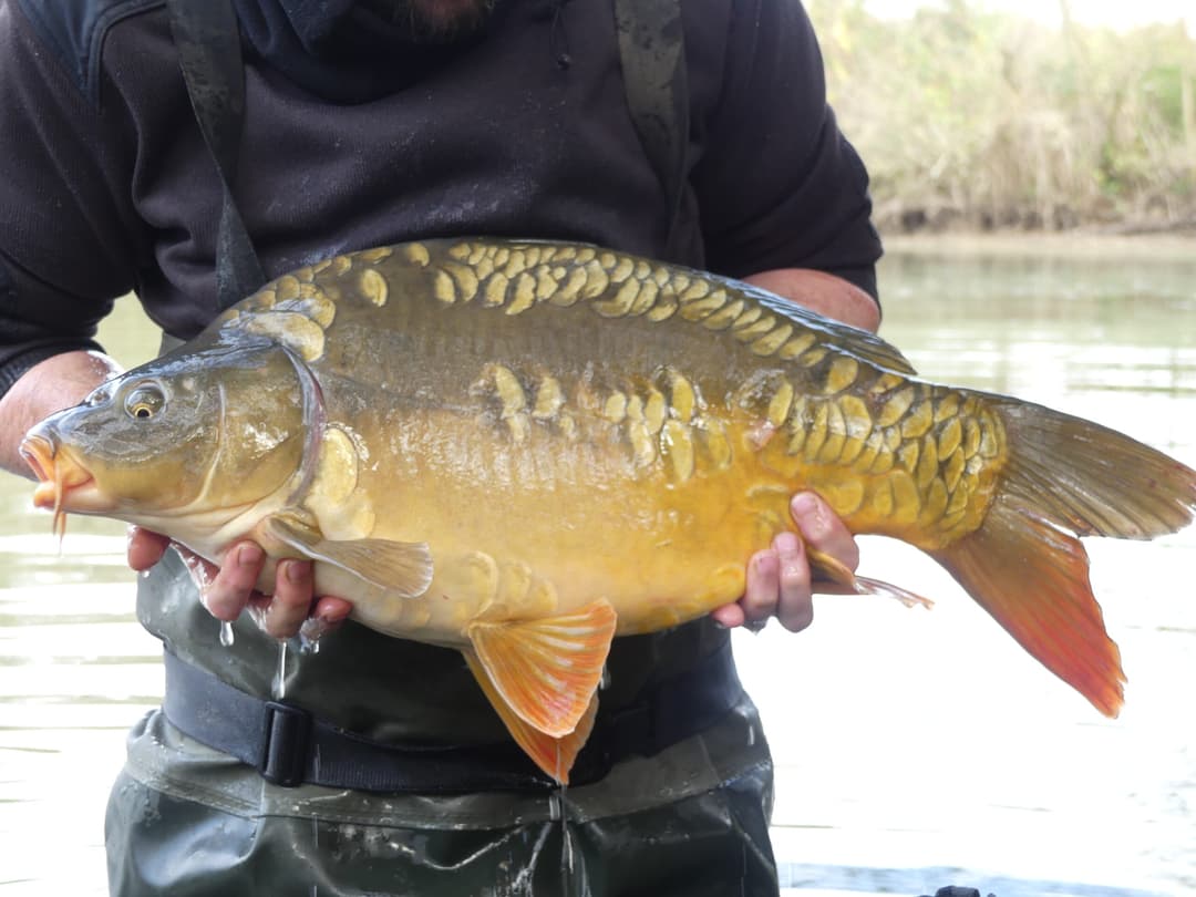 Etang d’1Ha en location totalement privatisé ! 