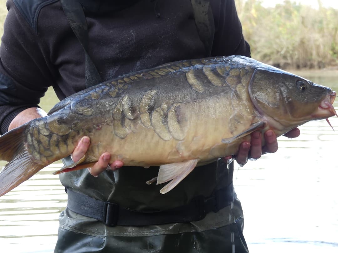 Etang d’1Ha en location totalement privatisé ! 