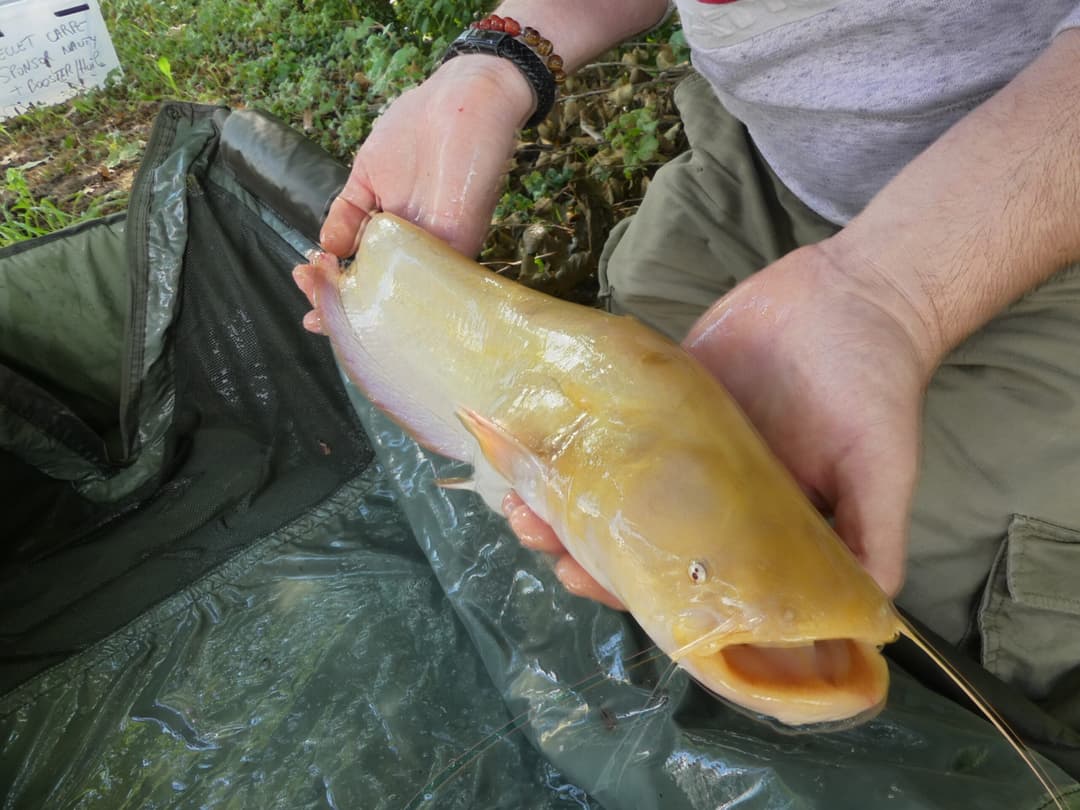 Etang d’1Ha en location totalement privatisé ! 