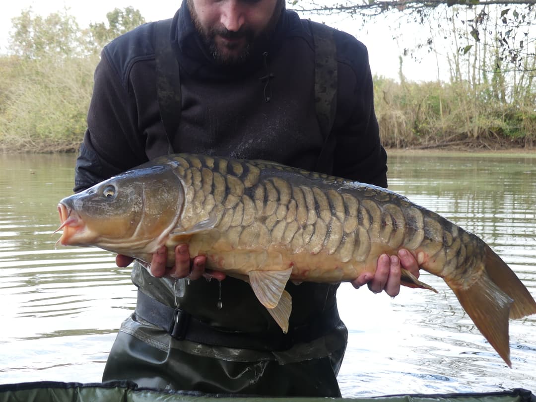 Etang d’1Ha en location totalement privatisé ! 