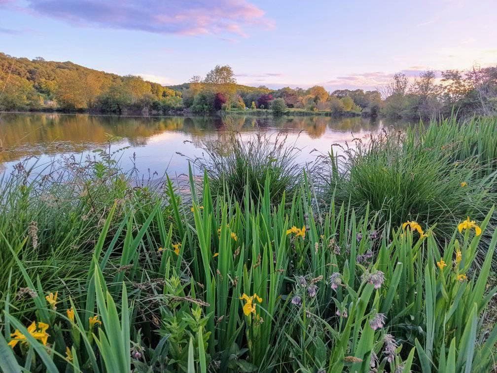 Etang de 3ha à 1 heure de paris 