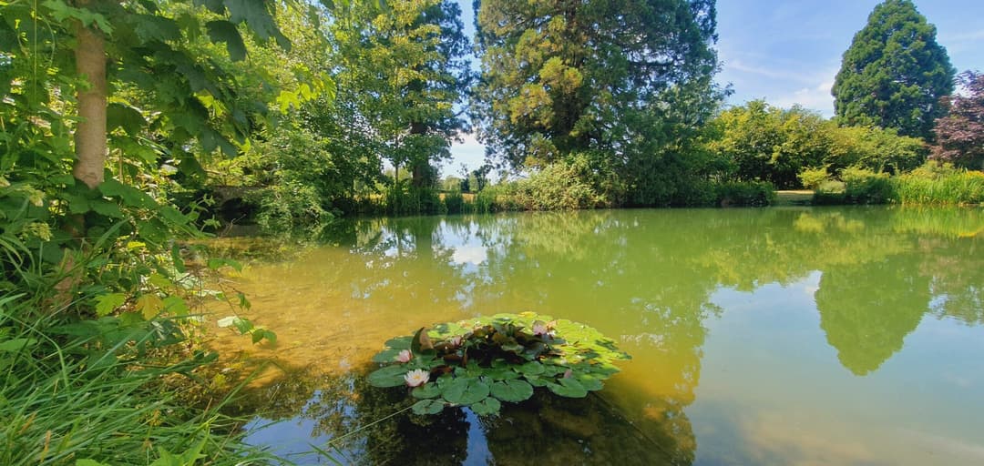 Petit étang à 1 h de paris 