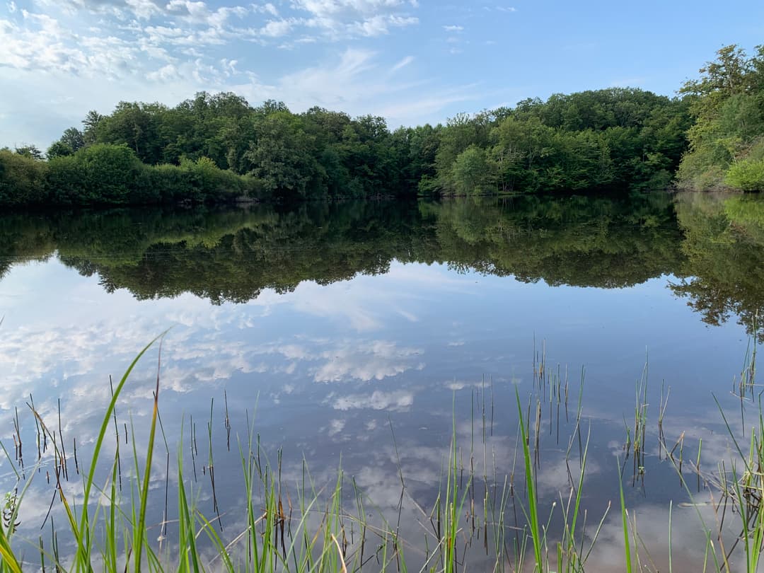 Etang privé dans l'Indre