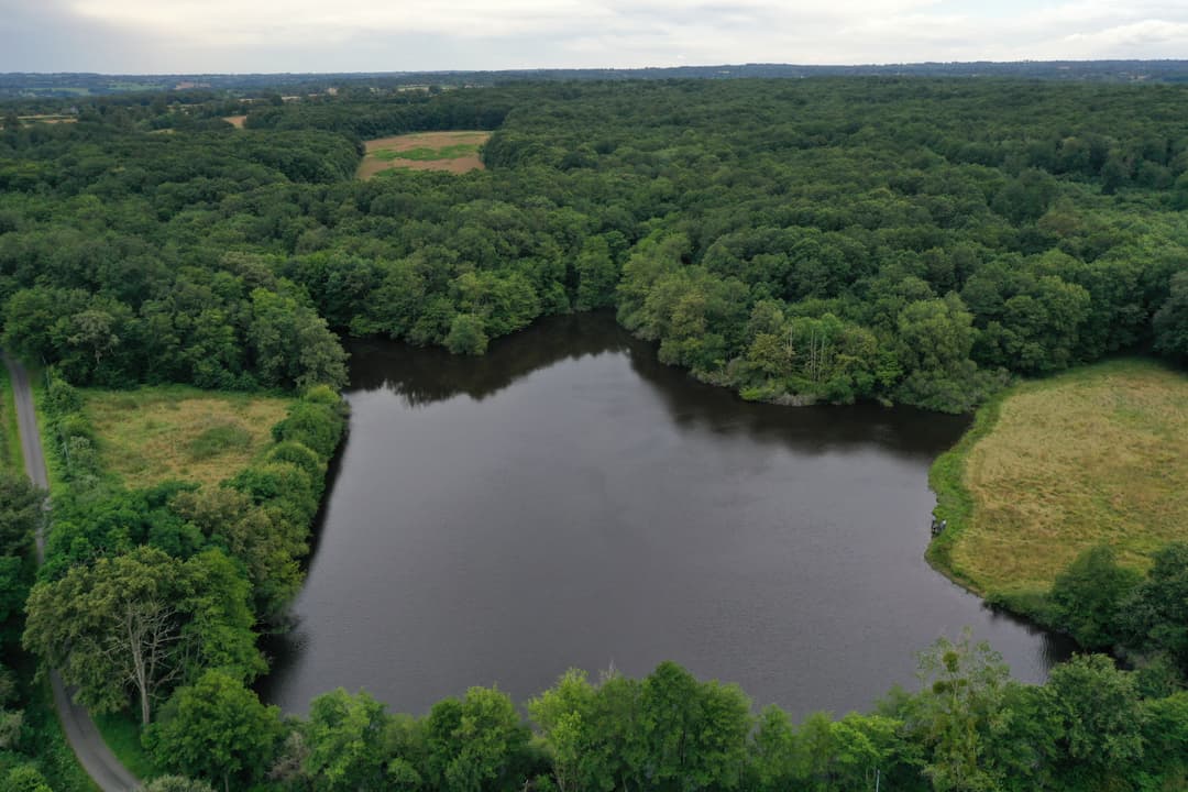 Etang privé dans l'Indre