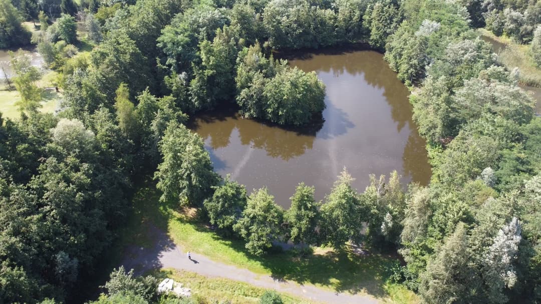 Étang situé à proximité de Lille 