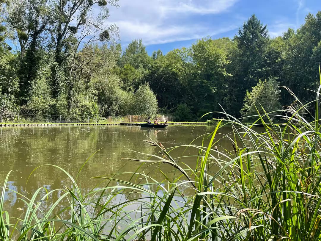 Havre de paix à 2 heurs de Paris avec bel étang de 8000 m2 poissonneux