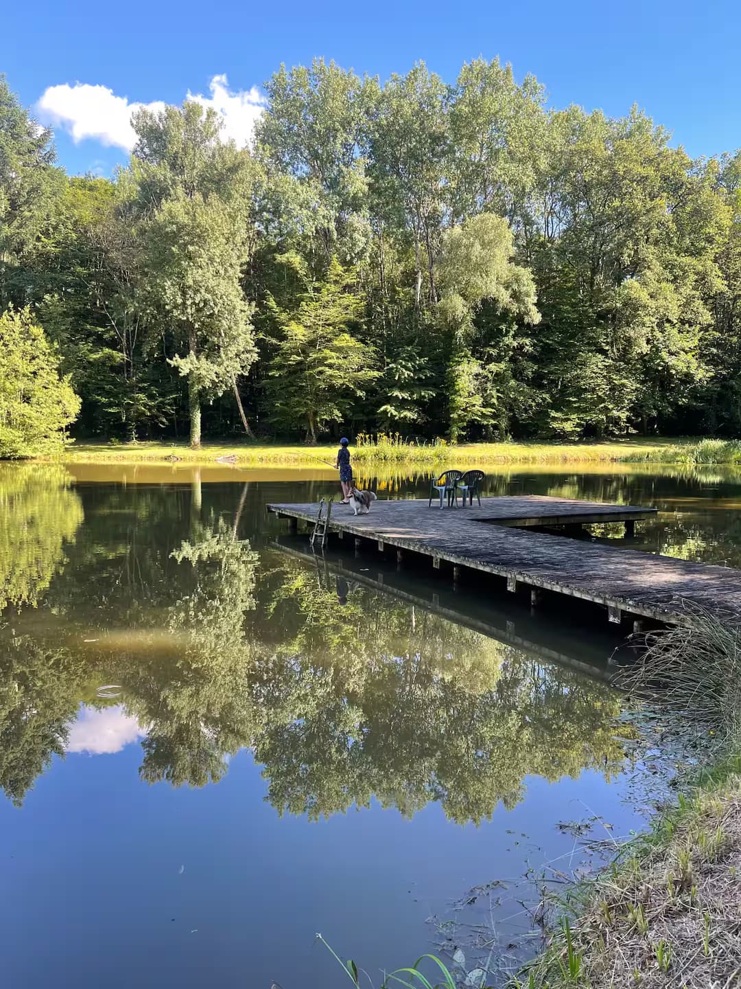 Havre de paix à 2 heurs de Paris avec bel étang de 8000 m2 poissonneux