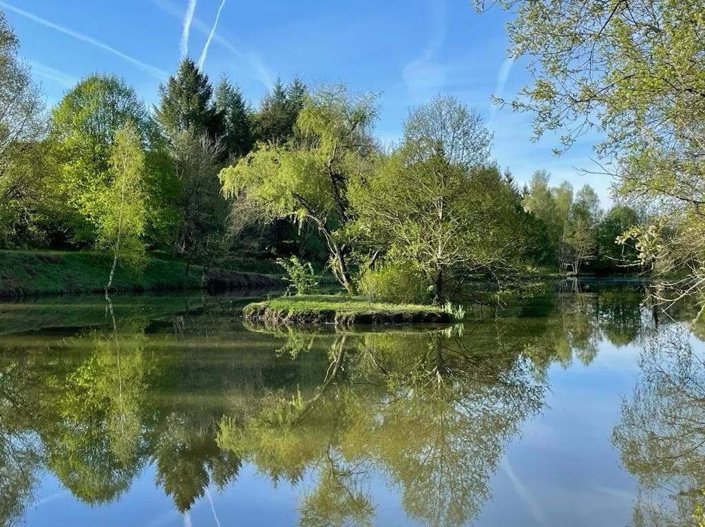 Écolodges haut de gamme dans un domaine privé de 12 hectares en Dordogne