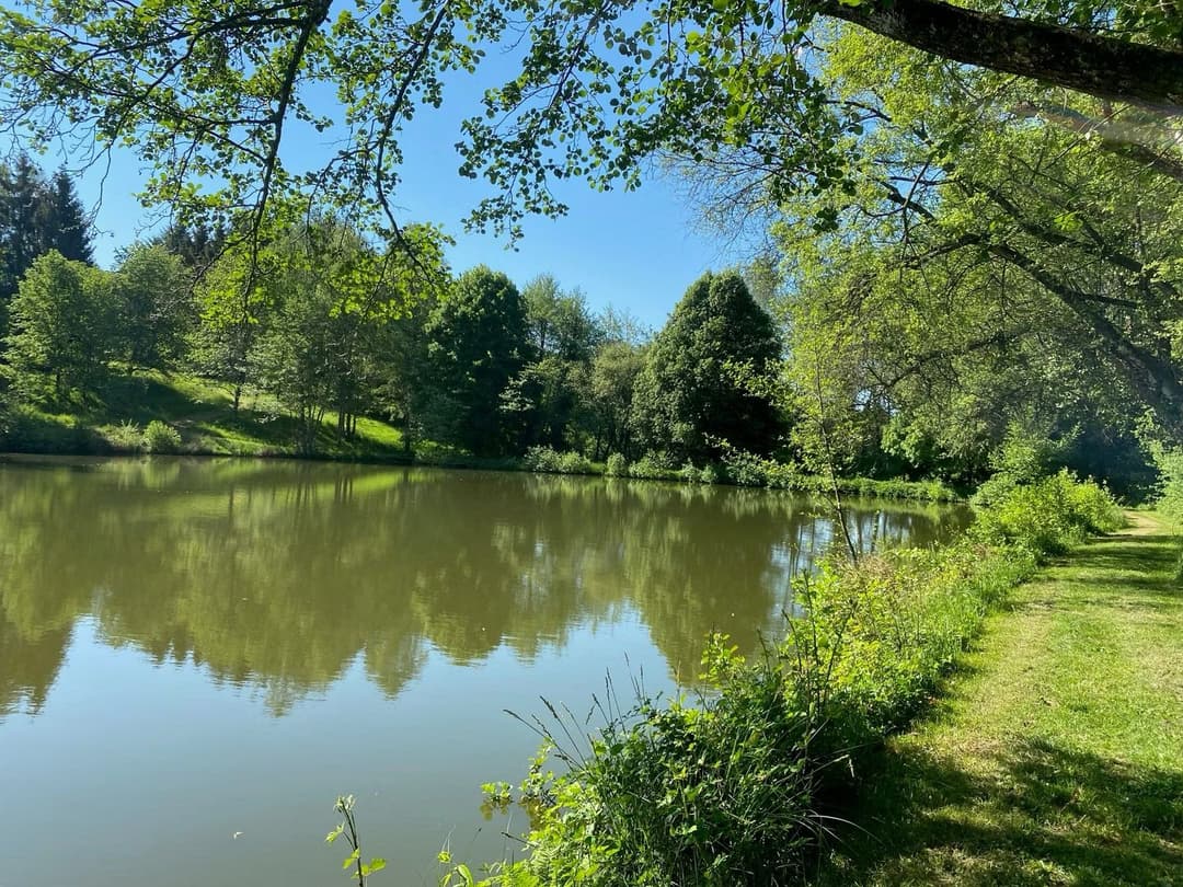 Écolodges haut de gamme dans un domaine privé de 12 hectares en Dordogne
