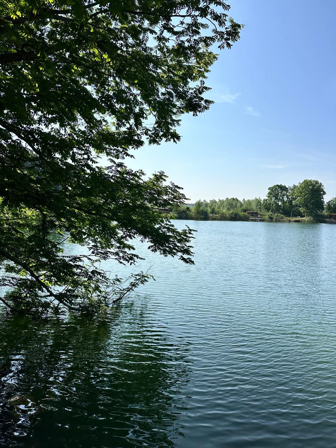 Cabane pour 4 personnes avec étang de pêche très poissonneux