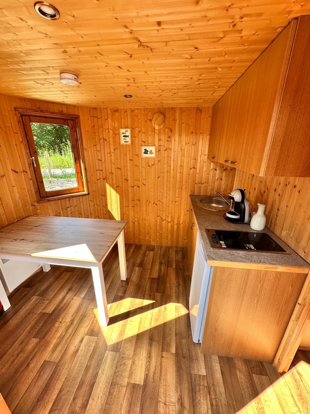 Cabane pour 4 personnes avec étang de pêche très poissonneux