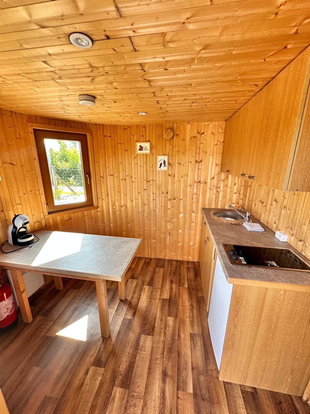 Cabane isolée + terrasse & pêche