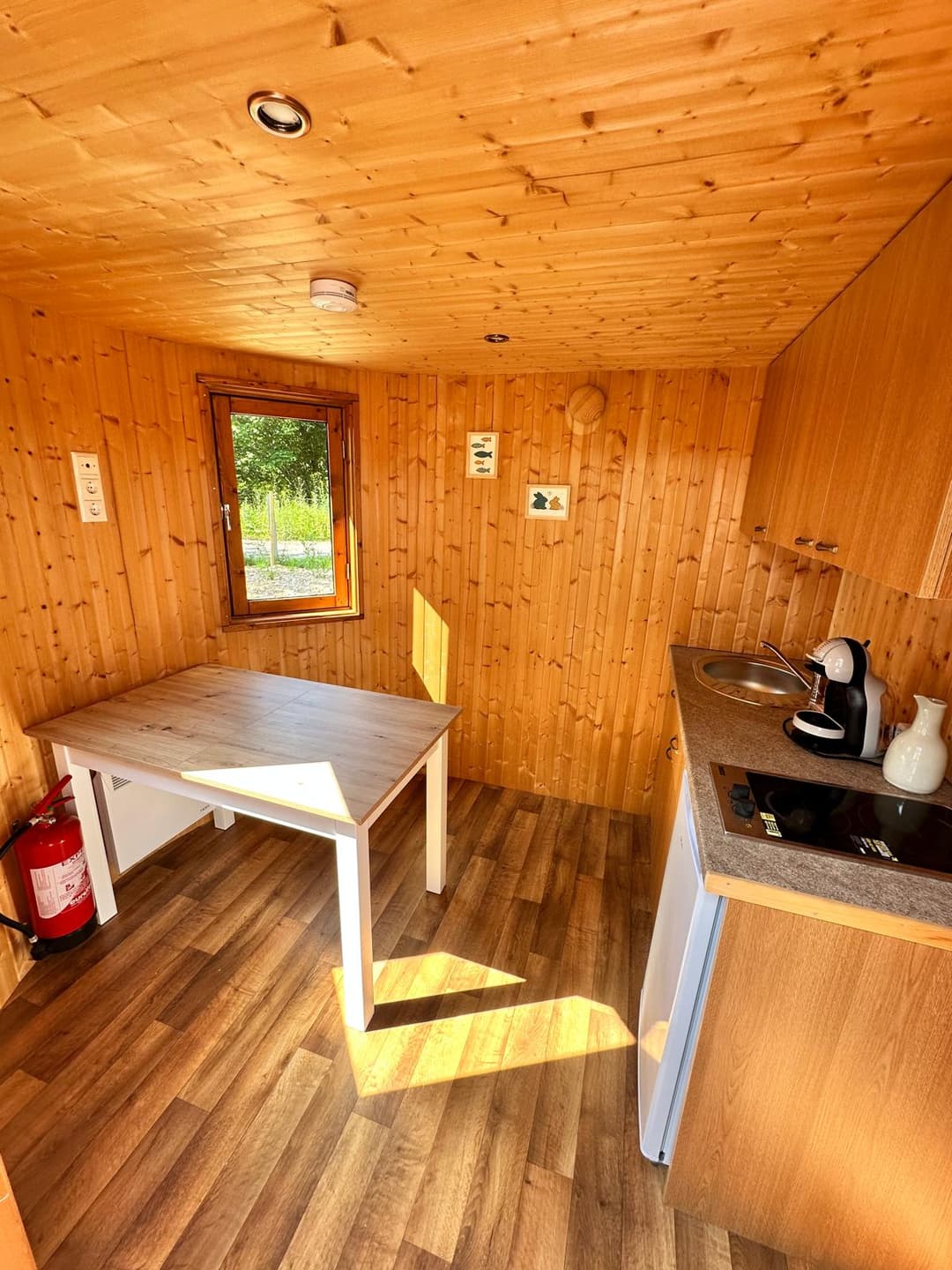 Cabane isolée + terrasse & pêche
