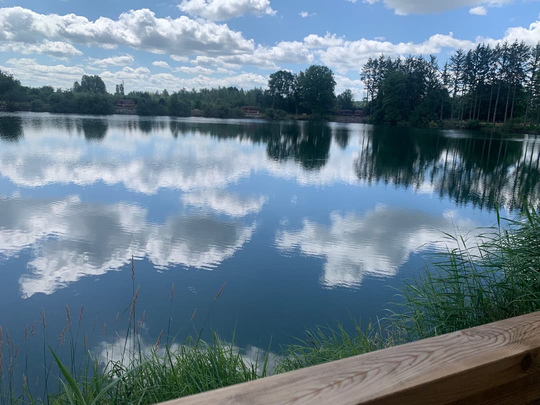 La Ramure - Tiny + chalet & sauna, pêche en famille