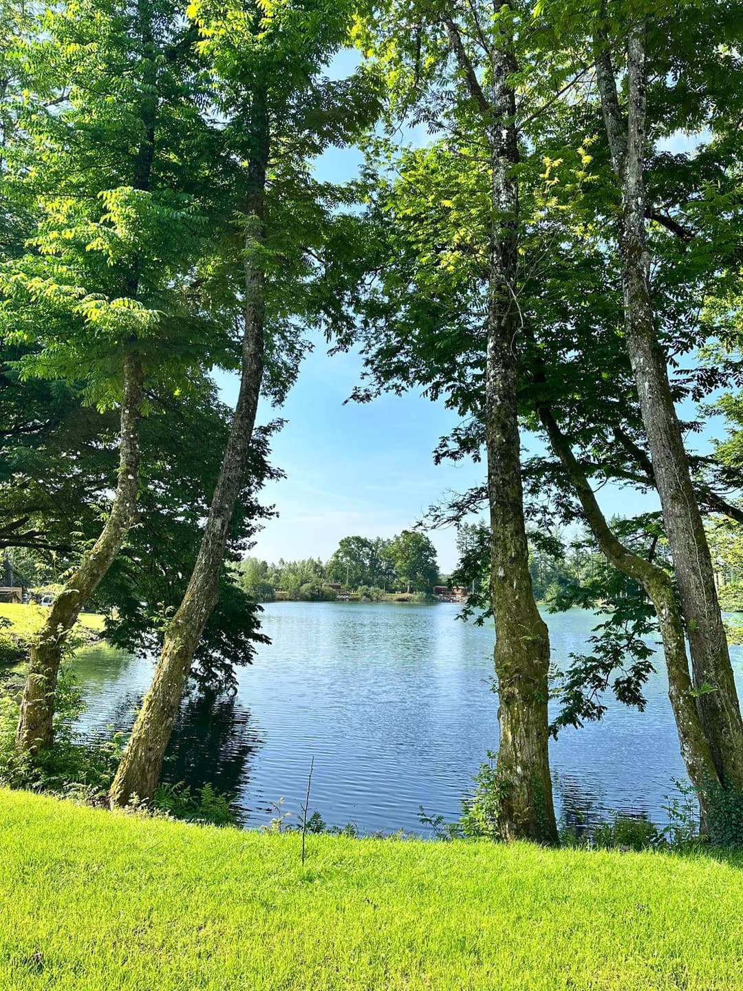 Cabane au bord de l’eau pour un moment de détente