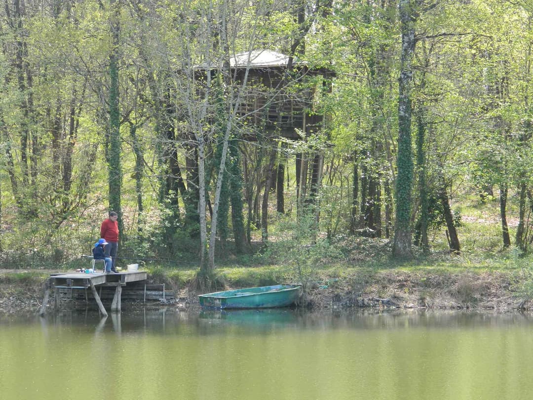 Cabane insolite en dôme avec accès à un étang et une piscine