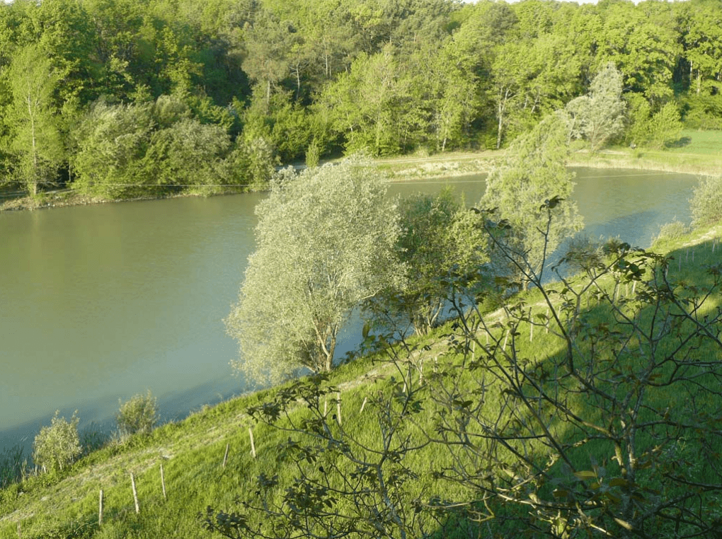 Cabane insolite en dôme avec accès à un étang et une piscine