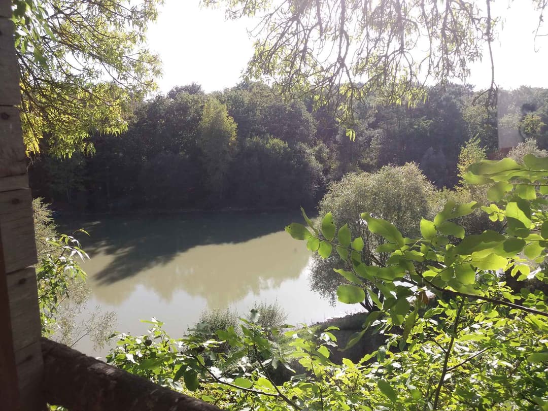 Cabane insolite en dôme avec accès à un étang et une piscine