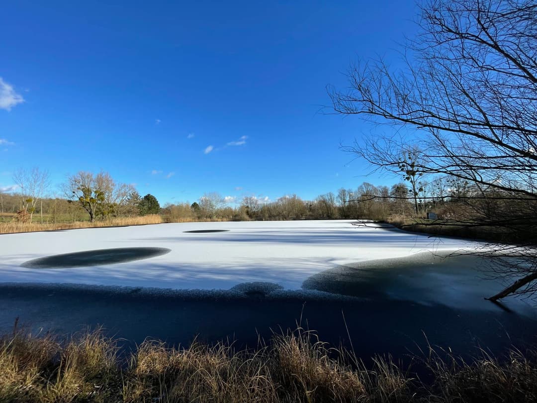 Etang de pêche à louer à côté de Reims 