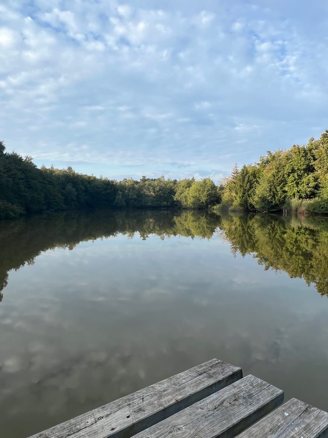 Etang à louer en Isère pour stationner votre camping-car et pêcher 