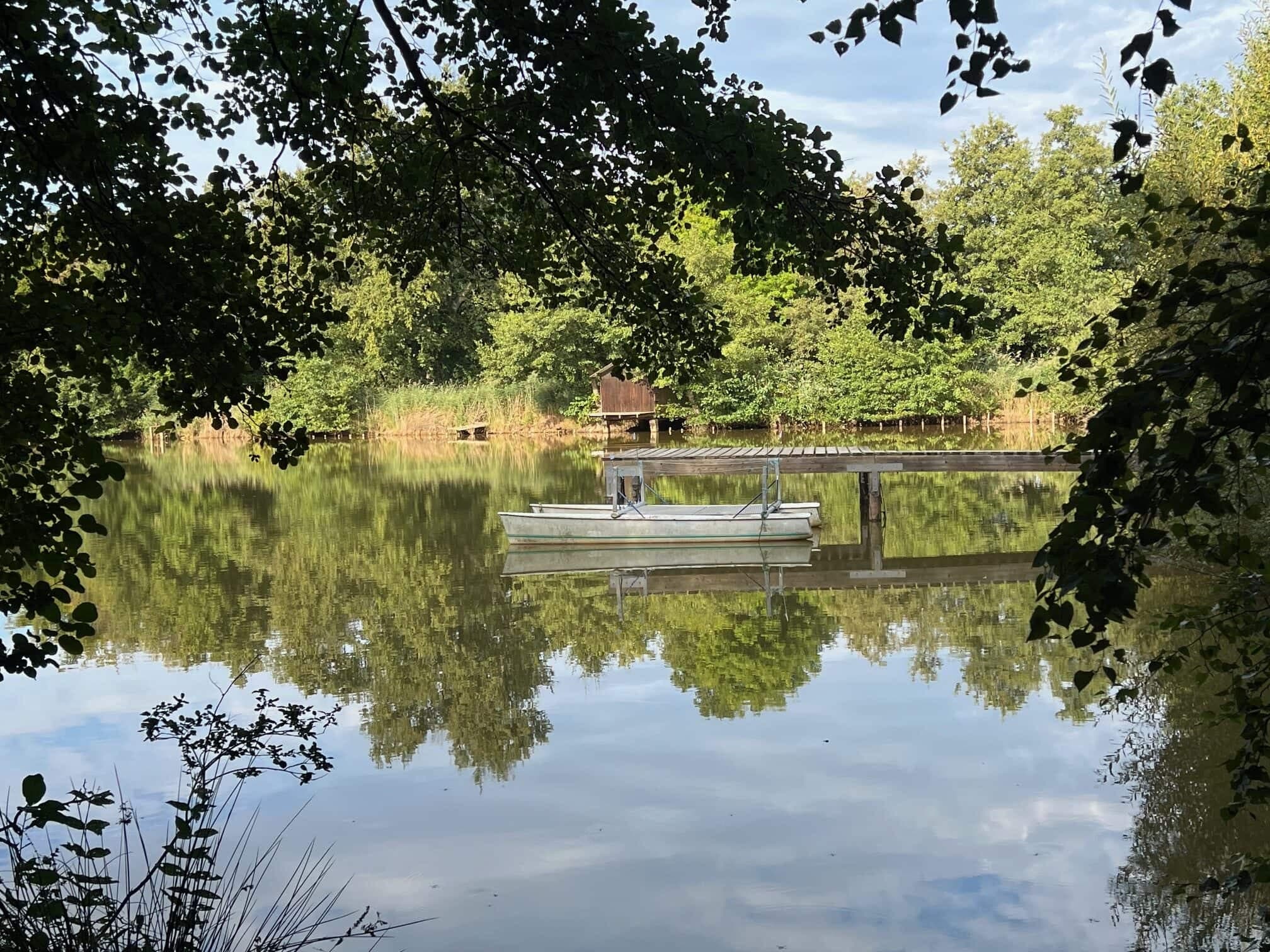 Etang à louer en Isère pour stationner votre camping-car et pêcher 