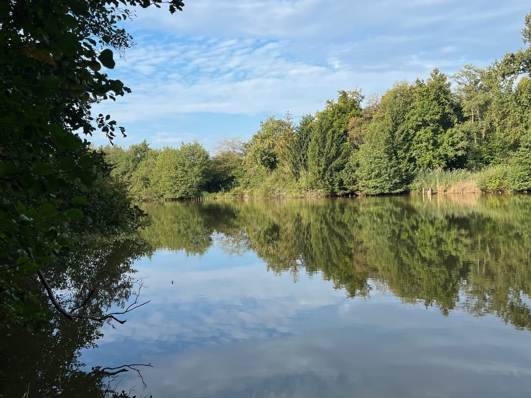 Etang à louer en Isère pour stationner votre camping-car et pêcher 