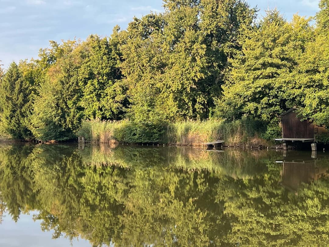 Etang à louer en Isère pour stationner votre camping-car et pêcher 