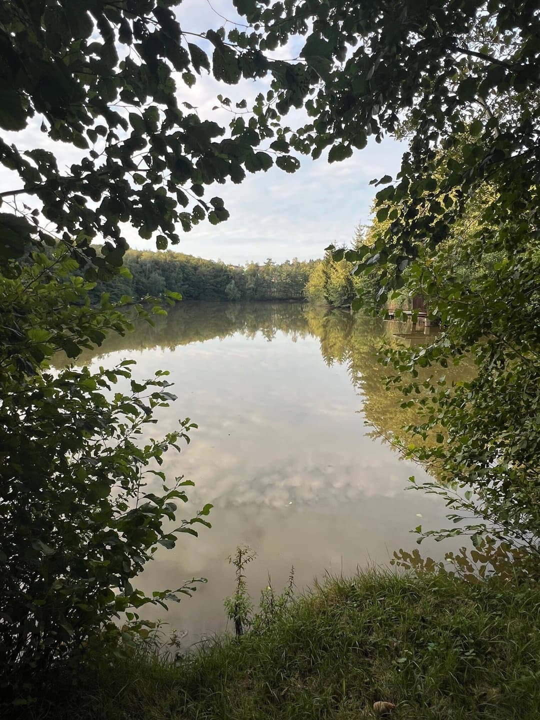 Etang à louer en Isère pour stationner votre camping-car et pêcher 