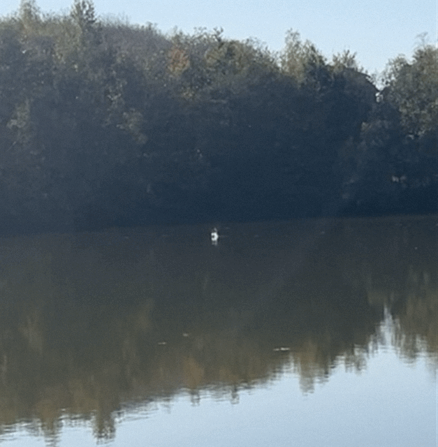 Etang à louer en Isère pour stationner votre camping-car et pêcher 