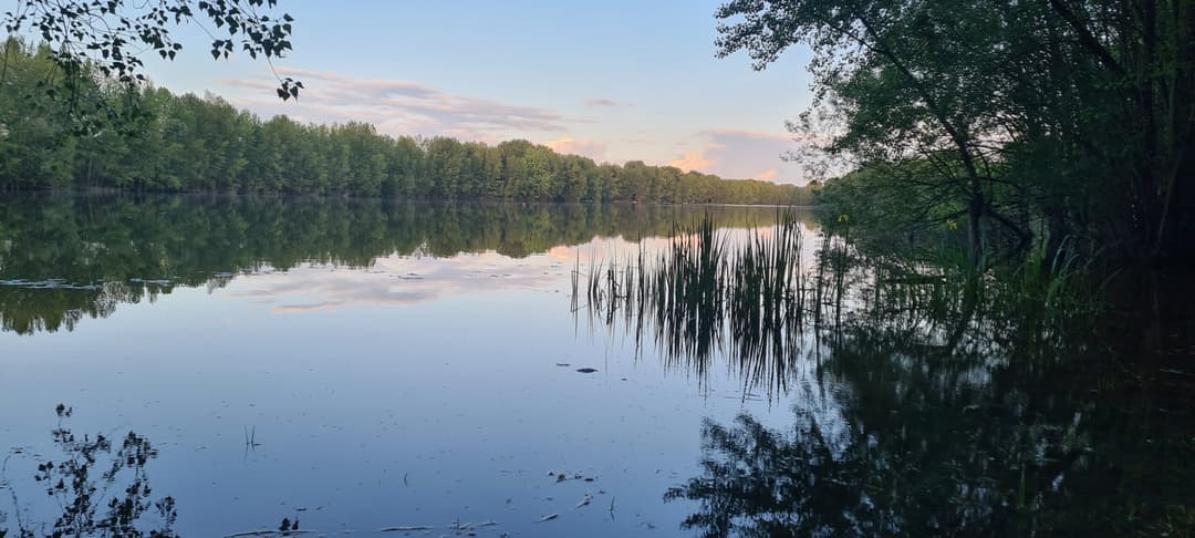 Lac sauvage 17 hectares 