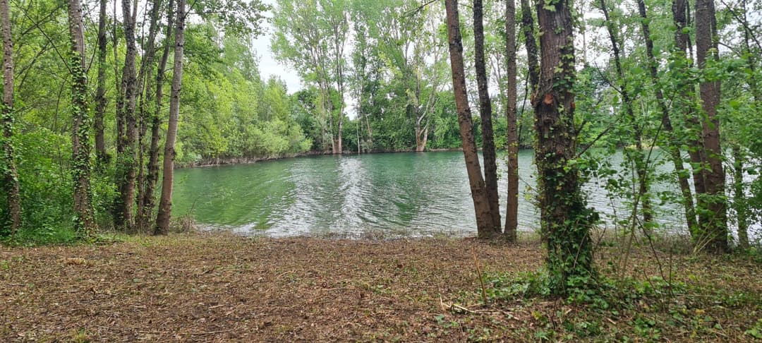 Lac sauvage 17 hectares 