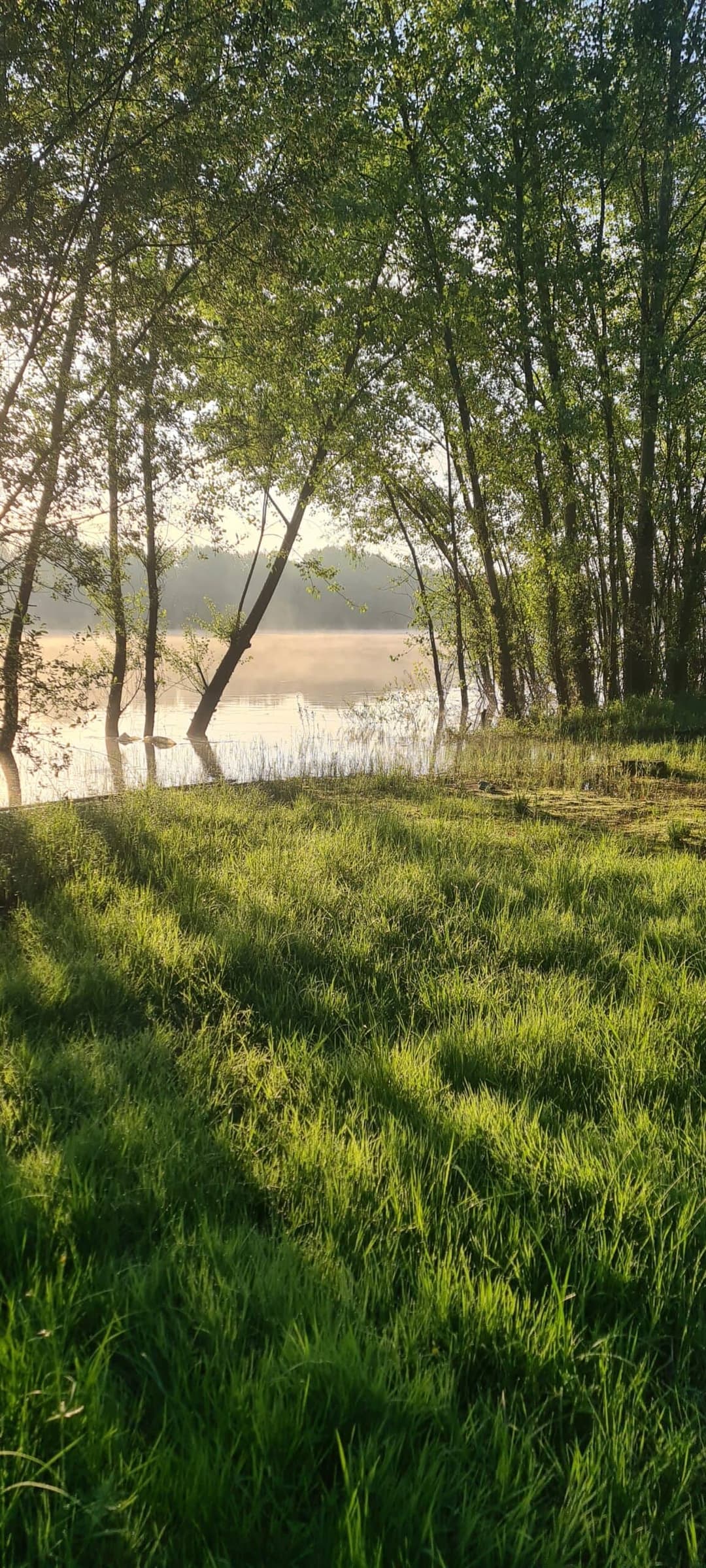 Lac sauvage 17 hectares 