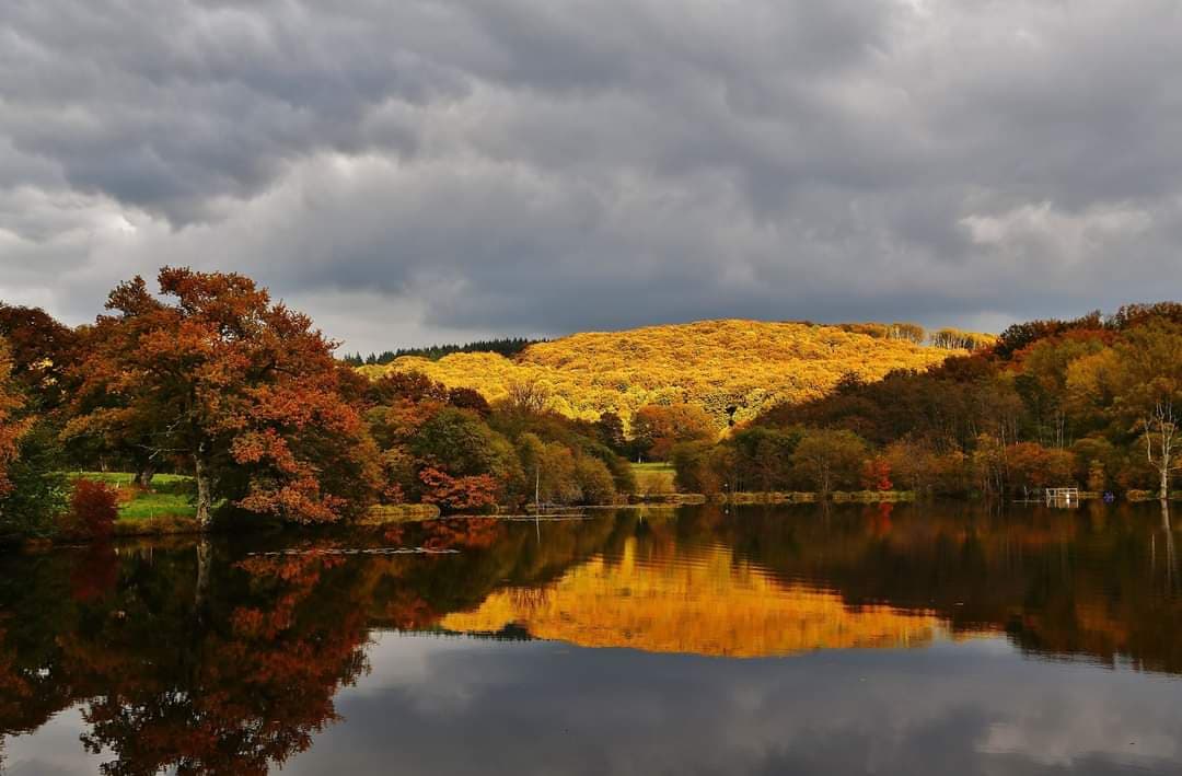 Etang à louer de 3ha dans la Creuse avec sa cabane  de pêcheur 