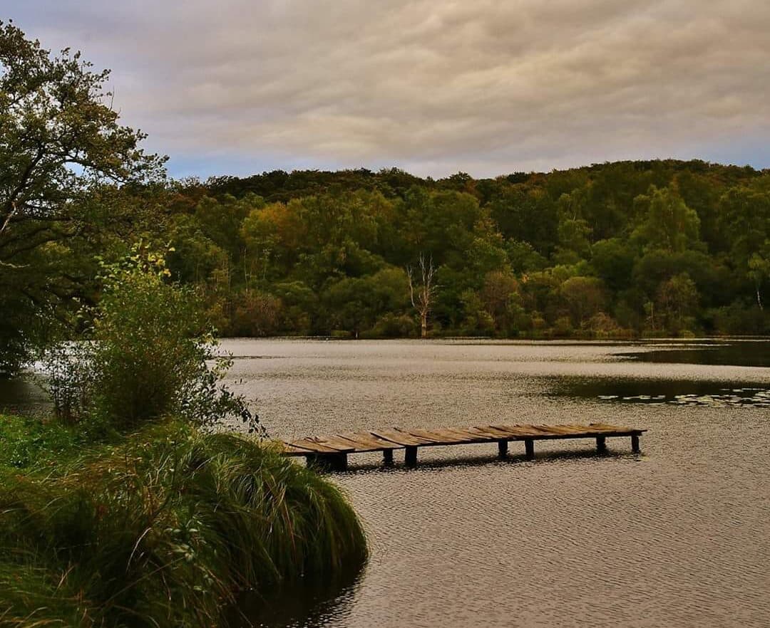 Etang à louer de 3ha dans la Creuse avec sa cabane  de pêcheur 