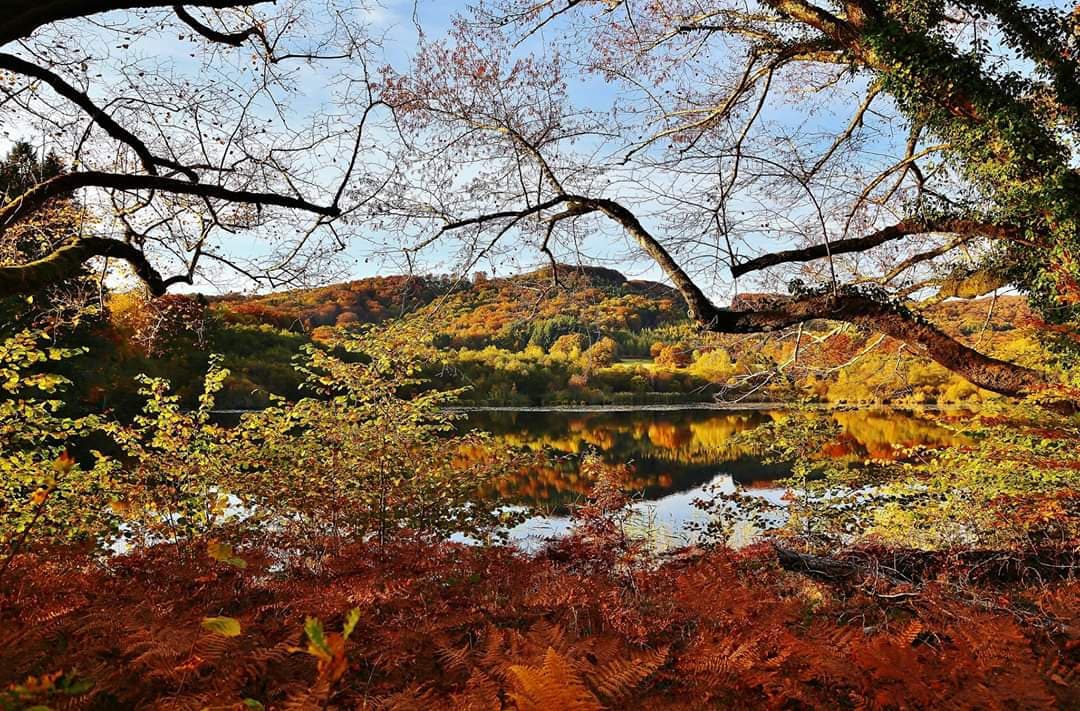 Etang à louer de 3ha dans la Creuse avec sa cabane  de pêcheur 