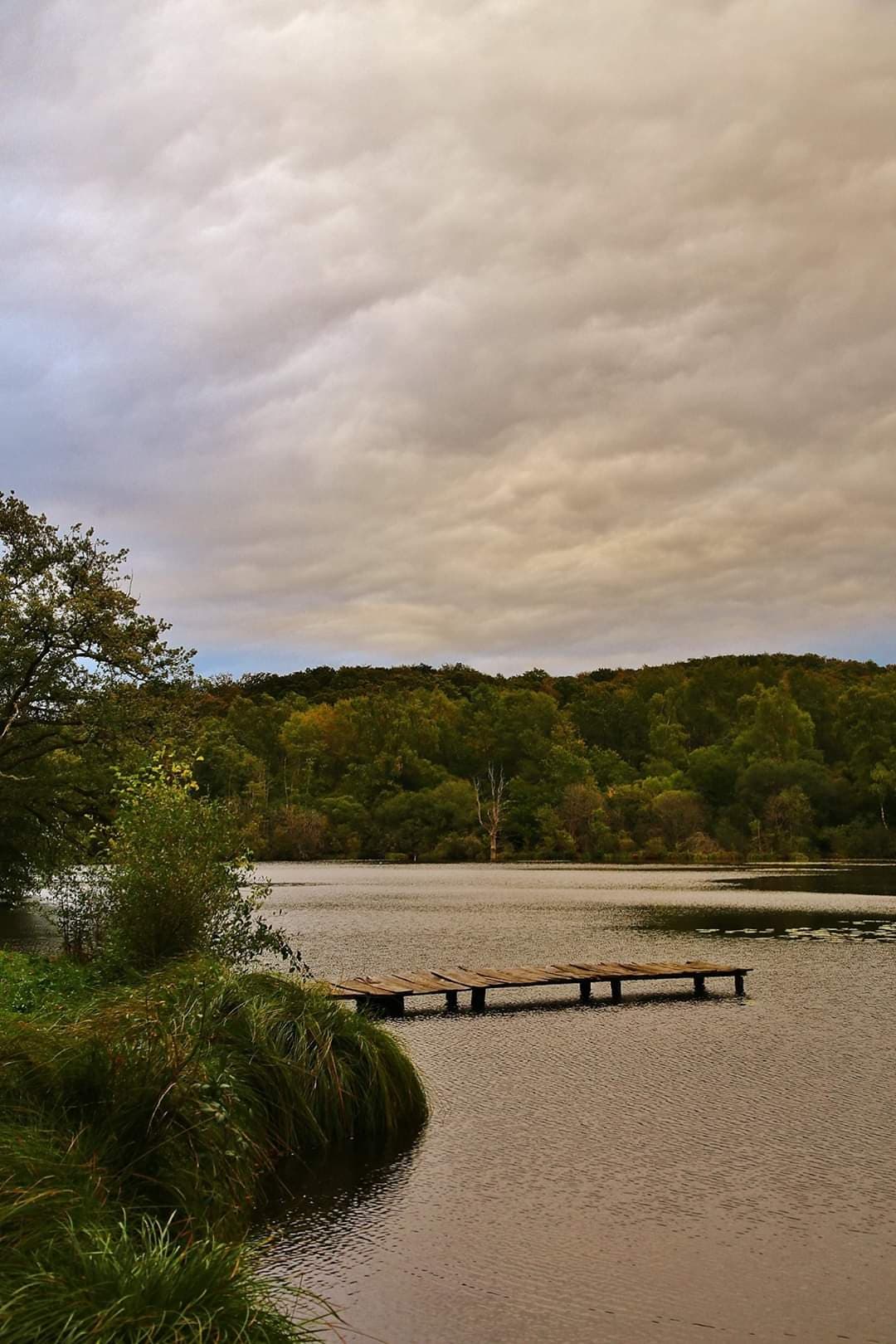 Etang à louer de 3ha dans la Creuse avec sa cabane  de pêcheur 