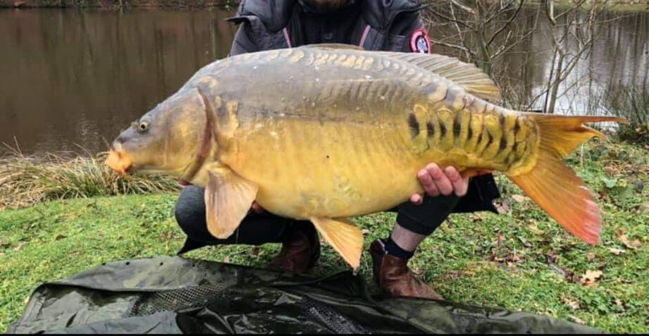 Etang à louer de 3ha dans la Creuse avec sa cabane  de pêcheur 