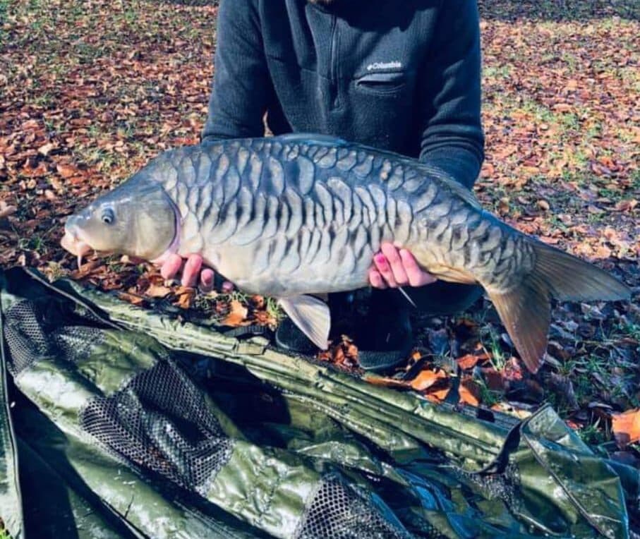Etang à louer de 3ha dans la Creuse avec sa cabane  de pêcheur 